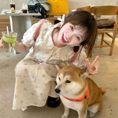 最后一镖